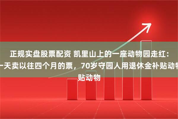正规实盘股票配资 凯里山上的一座动物园走红：一天卖以往四个月的票，70岁守园人用退休金补贴动物